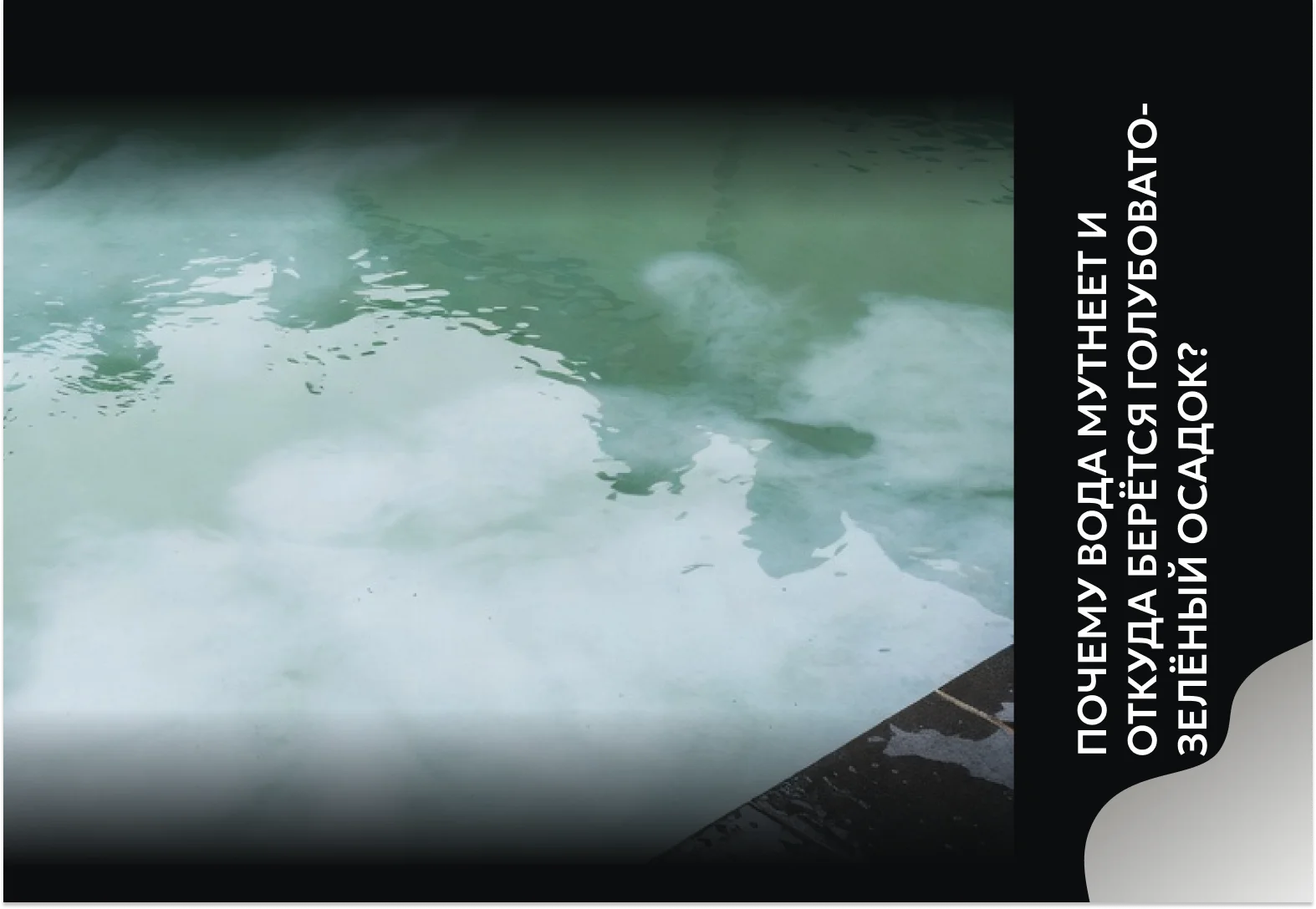 Почему вода мутнеет и откуда берётся голубовато-зелёный осадок?