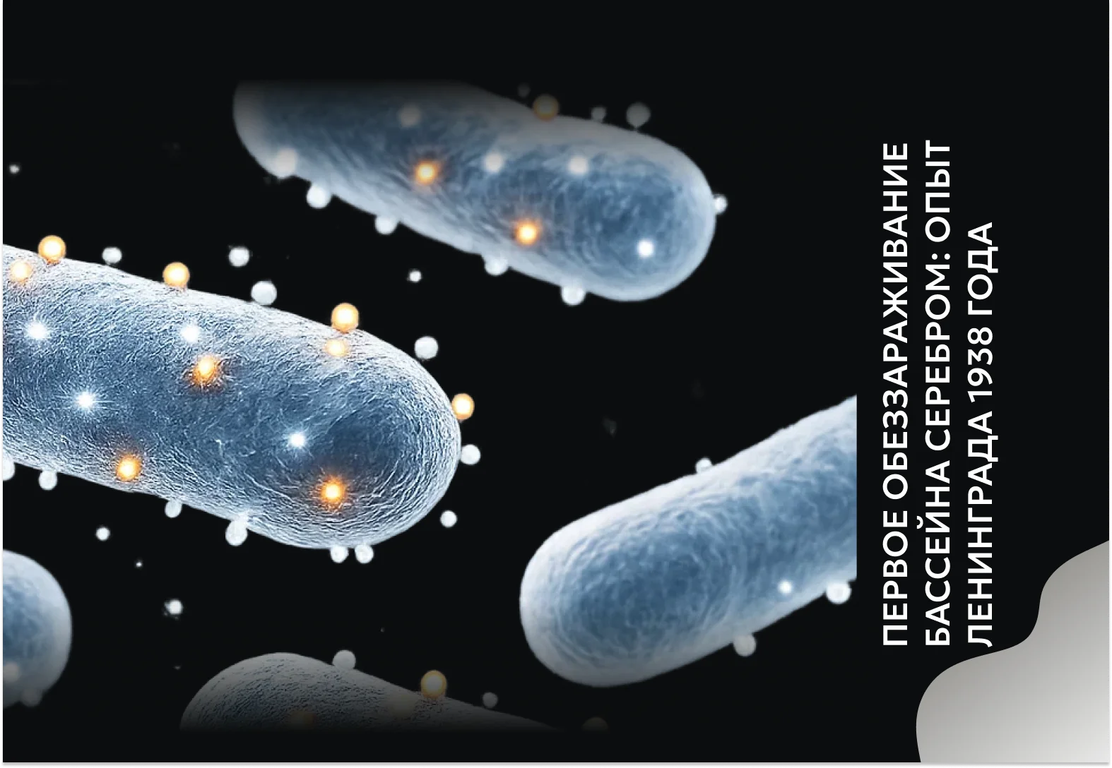Системы медь-серебряной ионизации для контроля Legionella в водных системах